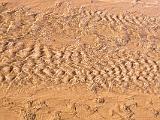 Great Sand Dunes 023